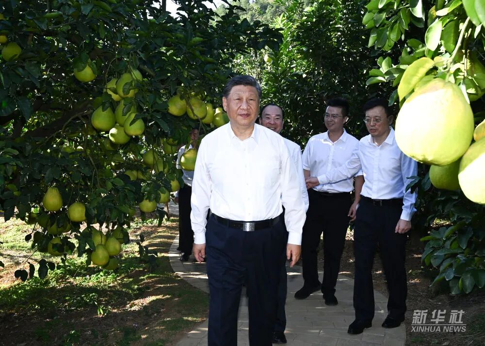 TOPAY钱包官网-不凡成就非凡,相信品牌的力量