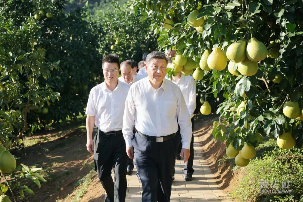 TOPAY钱包官网-不凡成就非凡,相信品牌的力量